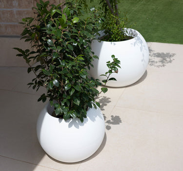 Vaso redondo na cor DALIA 70