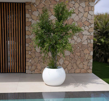 Vaso redondo na cor DALIA 70