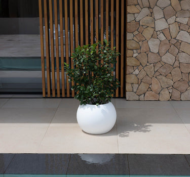 Vaso redondo na cor DALIA 70