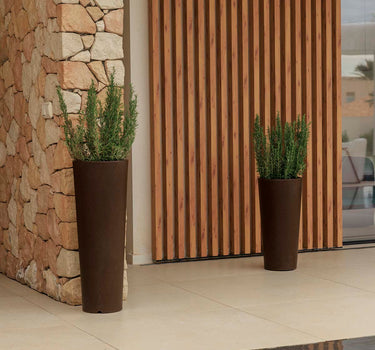 Vaso redondo FICUS 60