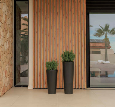 Vaso redondo FICUS 60