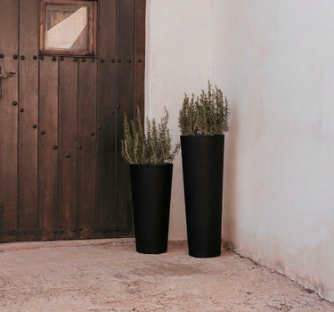 Vaso redondo FICUS 60