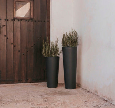 Vaso redondo FICUS 60
