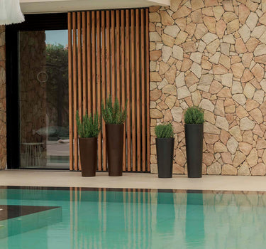 Vaso redondo FICUS 60