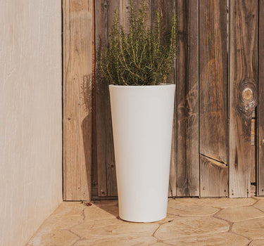 Vaso redondo FICUS 60 em várias cores