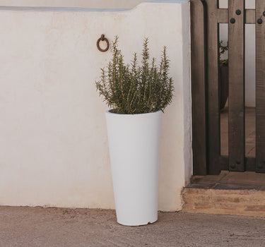 Vaso redondo FICUS 60 em várias cores