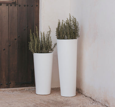 Vaso redondo FICUS 60 em várias cores