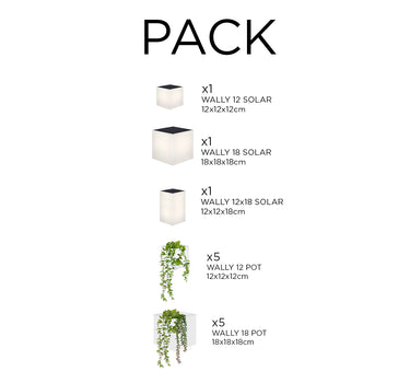 Pack Apliques de Parede Solares WALLY + Jardineiras Verticais | Iluminação e Jardim Vertical Sustentável