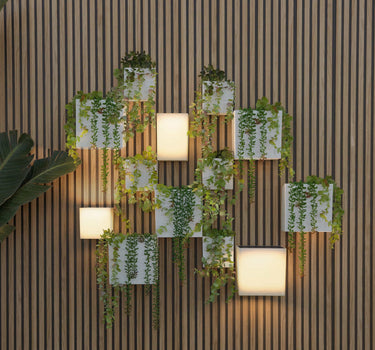 Pack Apliques de Parede Solares WALLY + Jardineiras Verticais | Iluminação e Jardim Vertical Sustentável