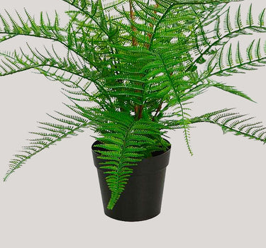 Vaso Samambaia ARTIFICIAL 55 CM