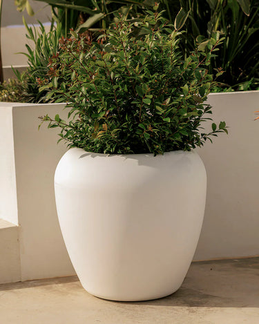 Macetero redondo ARECA - 16