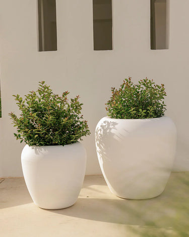 Macetero redondo ARECA - 35