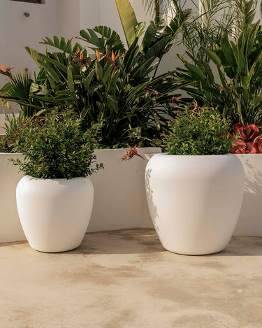 Macetero redondo ARECA - 37