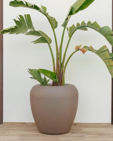 Macetero redondo ARECA - 39