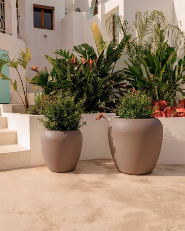 Macetero redondo ARECA - 43