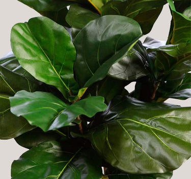 FICUS LYRATA ARTIFICIAL EM VASO 130 CM