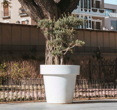 Floreira gigante MAGNOLIA 160CM