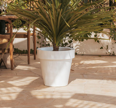 FLOREIRA REDONDA MAGNOLIA 45