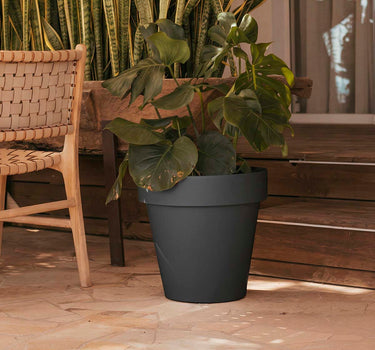 FLOREIRA REDONDA MAGNOLIA 45