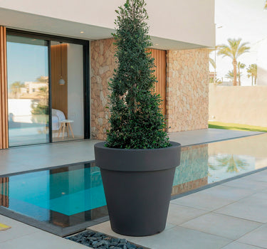 Vaso grande MAGNOLIA 80CM