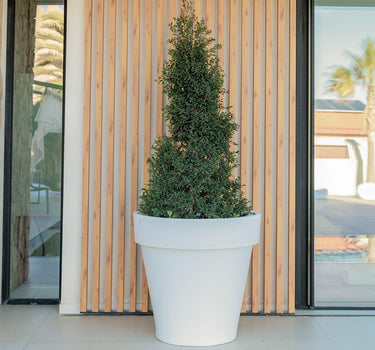 Vaso grande MAGNOLIA 80CM