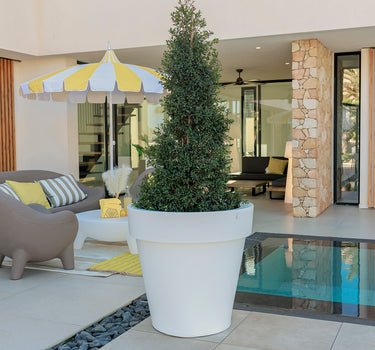 Vaso grande MAGNOLIA 80CM