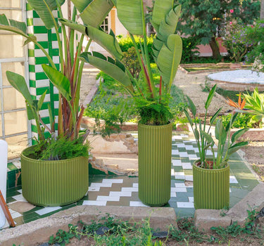 Floreira redonda Maranta 30 x 40