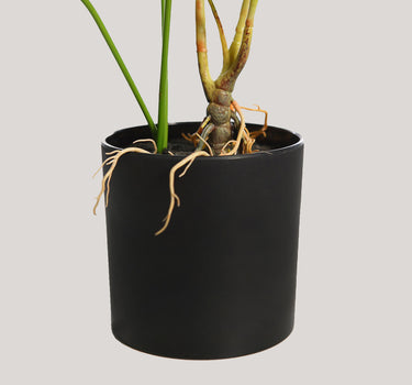 MONSTERA ARTIFICIAL EM VASO 70 CM