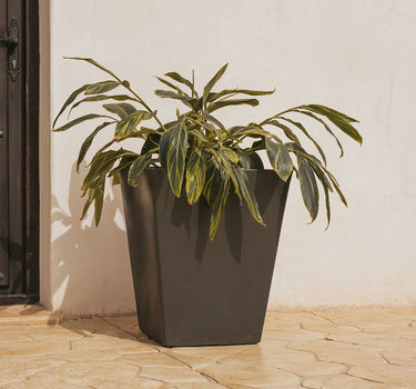 VASO QUADRADO CALENDULA 50 RÚSTICO COLORIDO