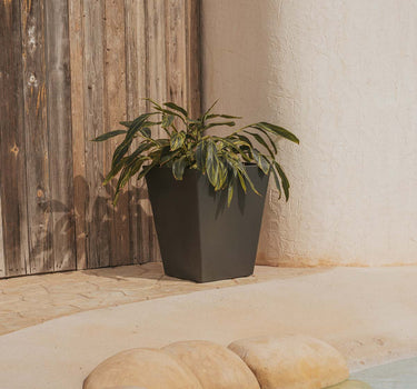 VASO QUADRADO CALENDULA 50 RÚSTICO COLORIDO