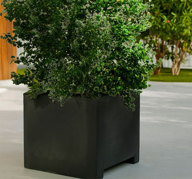 Floreira quadrada NARCISO 60 em várias cores