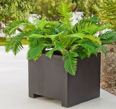 Floreira quadrada NARCISO 60 em várias cores