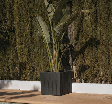 Floreira quadrada OLIVE 50
