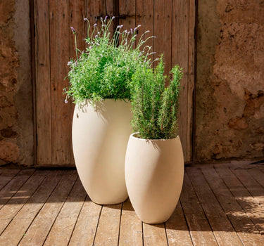 Vaso redondo ALOE 45
