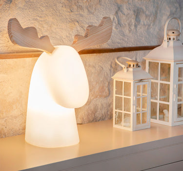 RENA ILUMINADA RUDY | USO INTERIOR