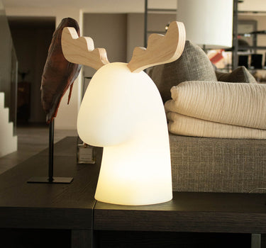 RENA ILUMINADA RUDY | USO INTERIOR