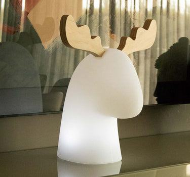 RENA ILUMINADA RUDY | USO INTERIOR