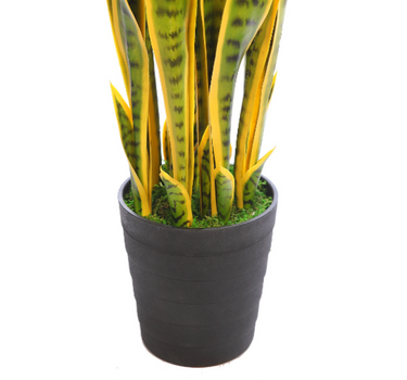 SANSEVIÉRIA VERDE 100CM
