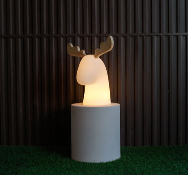 RENA ILUMINADA RUDY | USO INTERIOR