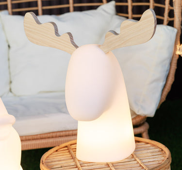 RENA ILUMINADA RUDY | USO INTERIOR