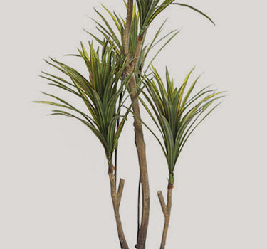 YUCA ARTIFICIAL EM VASO 185CM