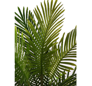 PALMERA ARECA 95CM