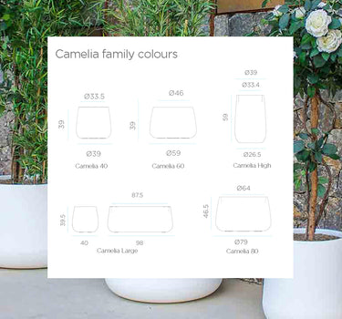 VASO REDONDO CAMELIA HIGH COLORIDO