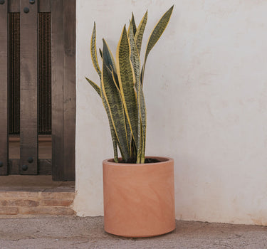 HORTENSIA | Vaso redondo de 30 cores