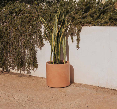 HORTENSIA | Vaso redondo de 30 cores