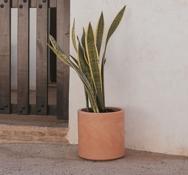 HORTENSIA | Vaso redondo de 30 cores