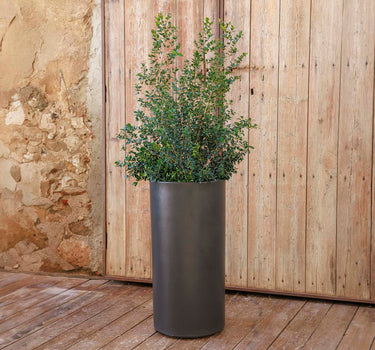 Vaso redondo HORTENSIA 50