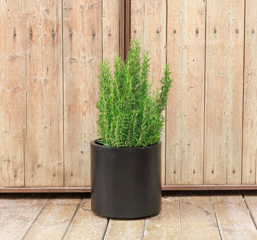 Vaso redondo HORTENSIA 30