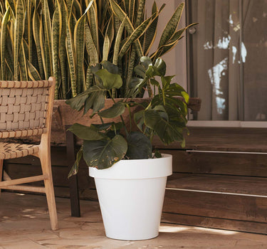 FLOREIRA REDONDA MAGNOLIA 45 CM EM COR