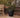 FLOREIRA REDONDA MAGNOLIA 45 CM EM COR